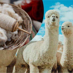Fibra de Alpaca